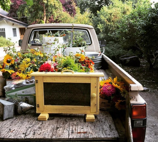 Help Bees With A Pollinator Garden - Honey Stinger