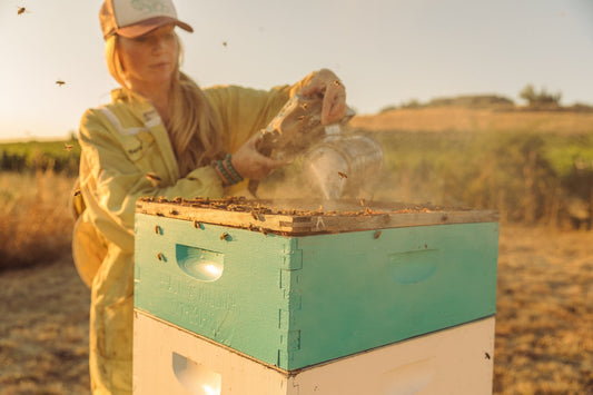 From Nectar to Honey - Honey Stinger