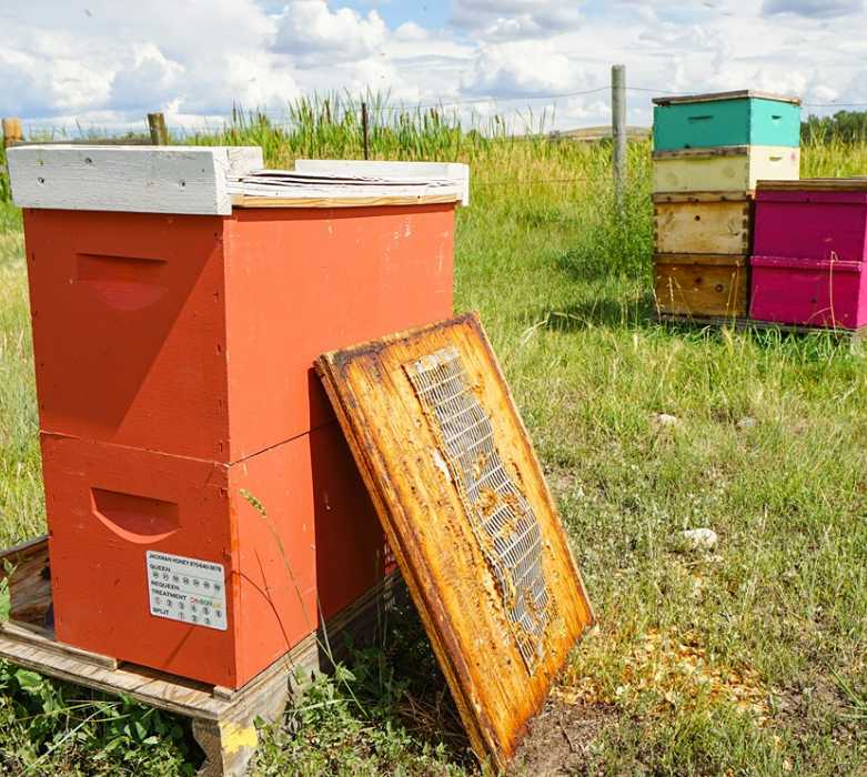 National Honey Month: Q&A With Outlaw Apiaries